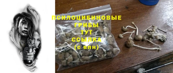 гашик Белокуриха