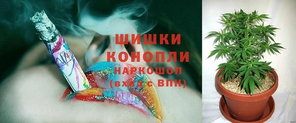 гашик Белокуриха
