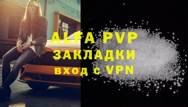 гашик Белокуриха